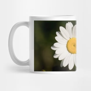 Dew covered Ox-eye Daisy Mug